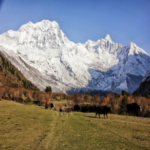 Manaslu Base Camp Trek